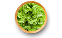 Insalata