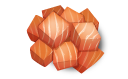 Salmone crudo