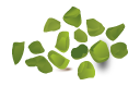 Granella di pistacchio